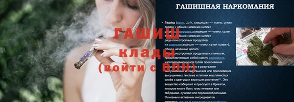 молекула духа Богородицк