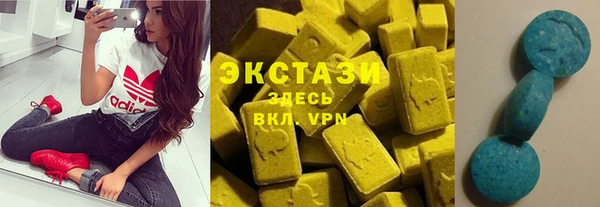 молекула духа Богородицк