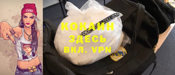 молекула духа Богородицк