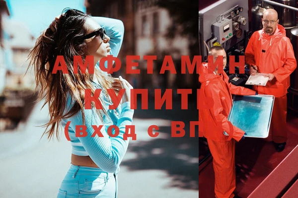 молекула духа Богородицк