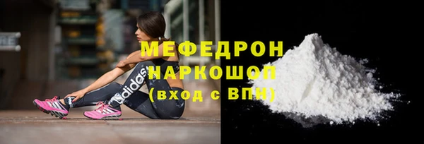 молекула духа Богородицк
