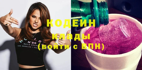 молекула духа Богородицк