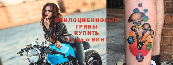 синтетический гашиш Богданович