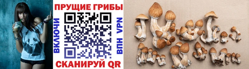 blacksprut ONION Бородино Галлюциногенные грибы GOLDEN TEACHER где купить наркоту